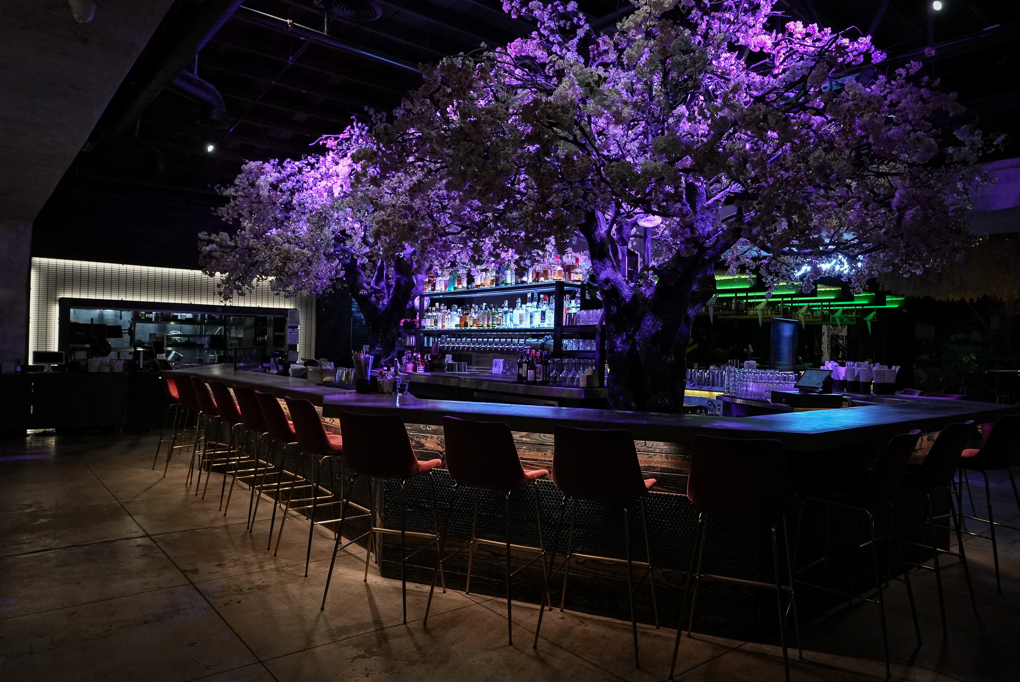 Cloak & Petal dining room — moody, intimate Japanese fusion ambiance in Little Italy San Diego